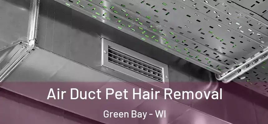 Air Duct Pet Hair Removal Green Bay - WI