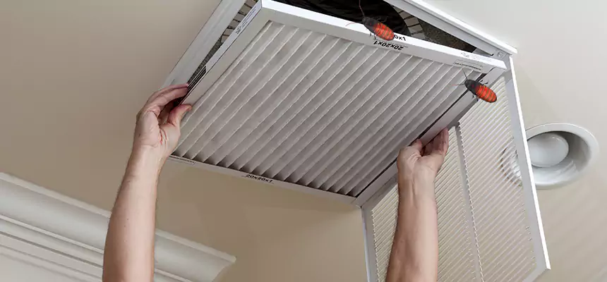 Preventive Cockroach-Proofing for Ducts in Green Bay