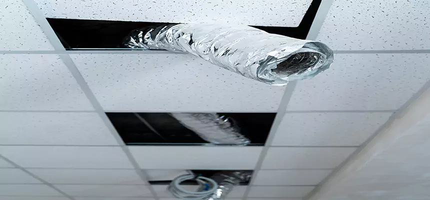 Affordable HVAC Sanitizing After Pest Removal in Green Bay