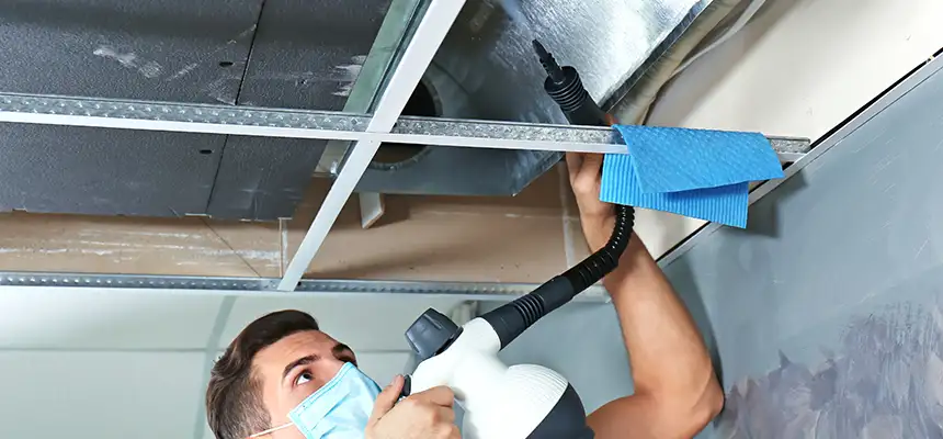 Our Air Duct Rodent Removal Services in Green Bay, WI