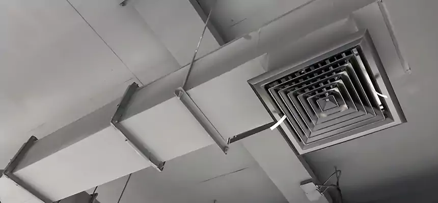 Our Rodent Droppings In Vents Services in Green Bay, WI