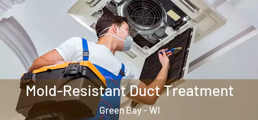 Mold-Resistant Duct Treatment Green Bay - WI
