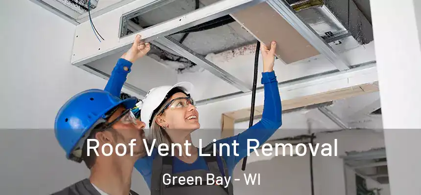  Roof Vent Lint Removal Green Bay - WI