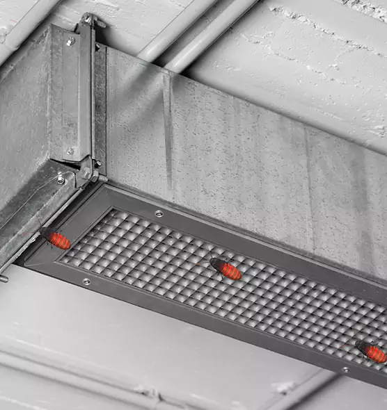 About Air Duct Cockroach Removal in Green Bay, WI