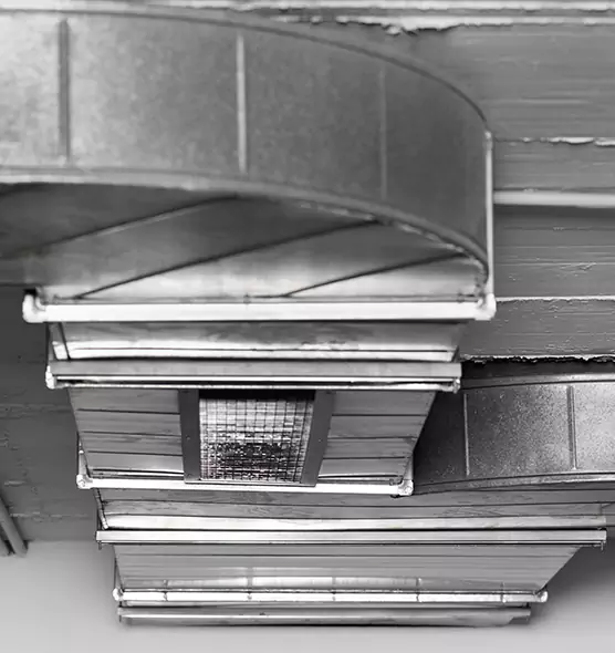 Professional Air Duct Pest Removal in Green Bay, WI