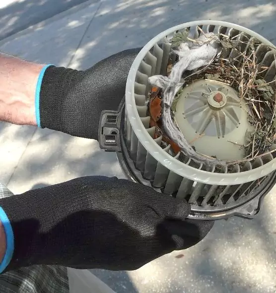 About Air Duct Rat Removal in Green Bay, WI