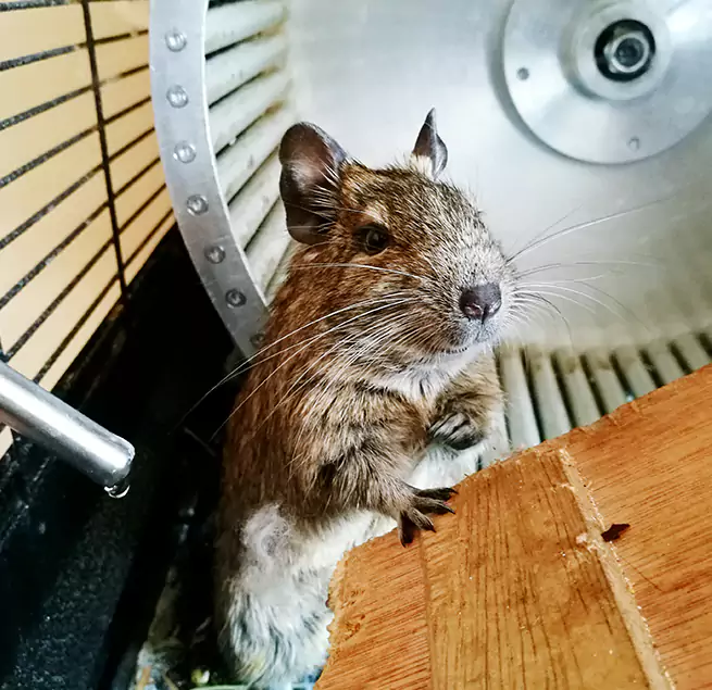 Why Homeowners & Businesses Trust Us Green Bay, WI