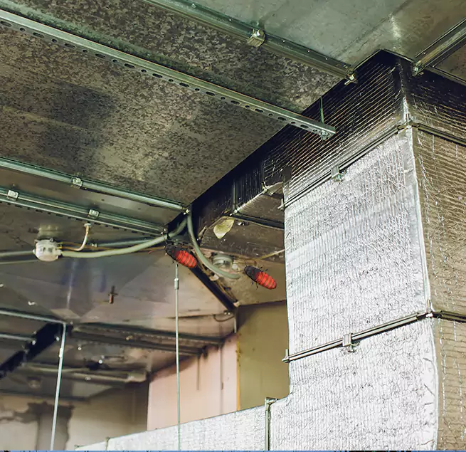 Why Homeowners & Businesses Trust Us Green Bay, WI?